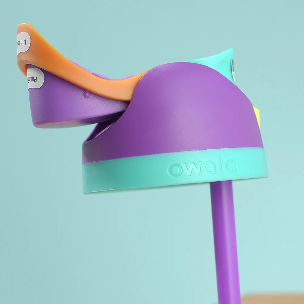 Owala Insulated Stainless Steel Water Bottle with Straw, BPA-Free Sports Water Bottle